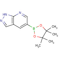 1093819-50-1 1H-Pyrazolo[3,4-b]pyridine-5-boronic acid pinacol chemical structure