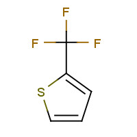 86093-76-7 2-(Trifluoromethyl)thiophene chemical structure
