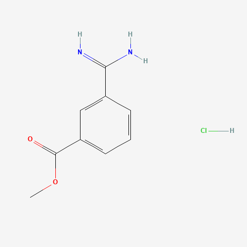 18219-39-1 3-Methoxycarbonylbenzamidinehydrochloride chemical structure