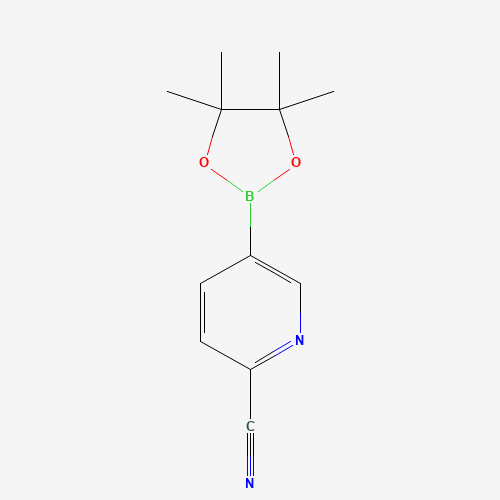 741709-63-7 5-(4,4,5,5-Tetramethyl-[1,3,2]dioxaborolan-2-yl)-pyridine-2-carbonitrile chemical structure