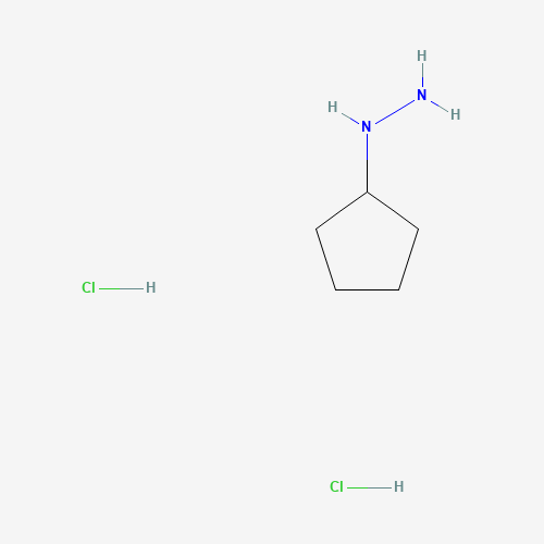 645372-27-6 Hydrazine,cyclopentyl-,dihydrochloride chemical structure