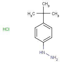 36600-66-5 4-tert-Butylphenylhydrazine hydrochloride chemical structure