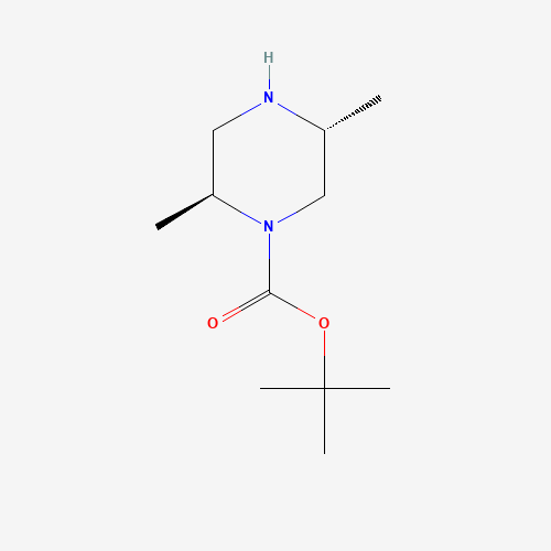 548762-66-9 (2S,5R)-2,5-DIMETHYL-PIPERAZINE-1-CARBOXYLIC ACID TERT-BUTYL ESTER chemical structure