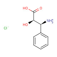 132201-32-2 (2R,3S)-3-Phenylisoserine hydrochloride chemical structure