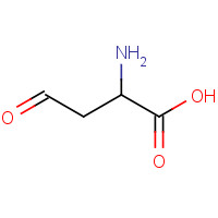15106-57-7 2-amino-4-oxobutanoic acid chemical structure