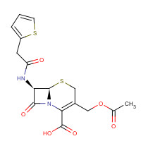 153-61-7 (6R,7R)-3-(Acetoxymethyl)-8-oxo-7-(2-(thiophen-2-yl)acetamido)-5-thia-1-aza-bicyclo[4.2.0]oct-2-ene-2-carboxylic acid chemical structure