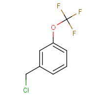 89807-43-2 3-(TRIFLUOROMETHOXY)BENZYL CHLORIDE chemical structure