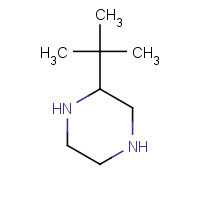 292063-44-6 2-TERT-BUTYL PIPERAZINE chemical structure