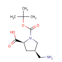 132622-72-1 (2S,4R)-4-(aminomethyl)-1-(tert-butoxycarbonyl)pyrrolidine-2-carboxylic acid chemical structure
