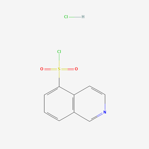 105627-79-0 Isoquinoline-5-sulphonyl chloride hydrochloride chemical structure