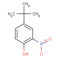 3279-07-0 4-tert-butyl-2-nitrophenol chemical structure