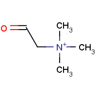 7418-61-3 trimethyl-(2-oxoethyl)ammonium chemical structure