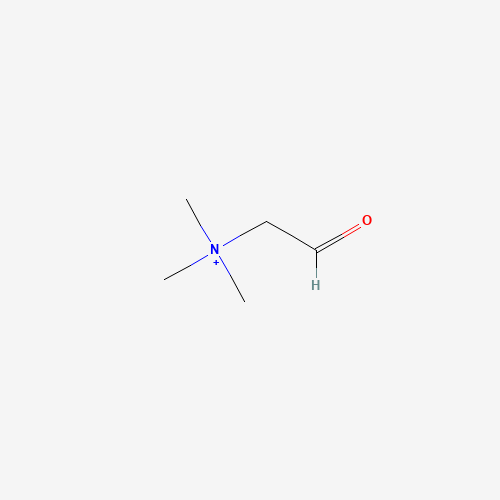 7418-61-3 trimethyl-(2-oxoethyl)ammonium chemical structure