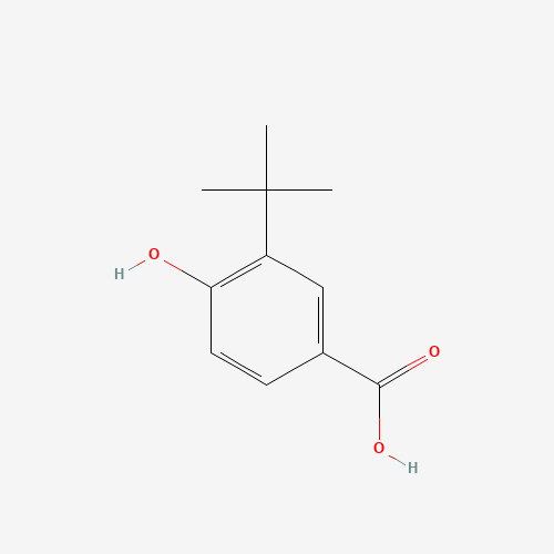 66737-88-0 3-TERT-BUTYL-4-HYDROXYBENZOIC ACID chemical structure