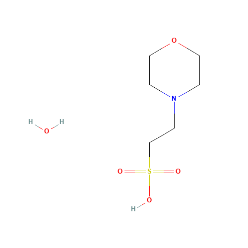 145224-94-8 MES monohydrate chemical structure