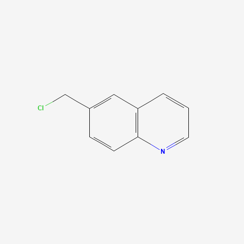 2644-82-8 6-CHLOROMETHYLQUINOLINE chemical structure