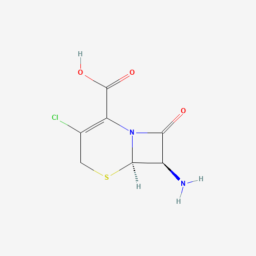 53994-69-7 7-Amino-3-chloro-3-cephem-4-carboxylic acid chemical structure