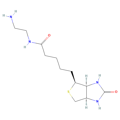 111790-37-5 N-(2-Aminoethyl)biotinamide chemical structure