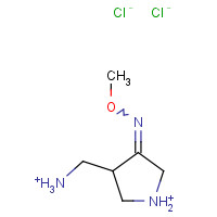 215229-16-6 (R/S)-4-(Aminomethyl)-3-pyrrolidinone O-Methyloxime Dichloride chemical structure
