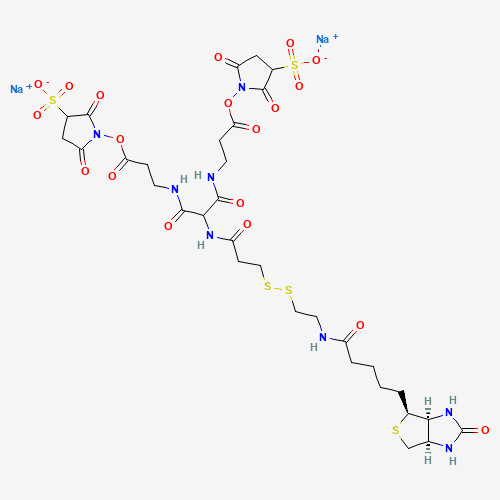 1044220-56-5 6-[2-Biotinylamidoethyl]-dithiopropionamido]-4,8-diaza-5,7-diketoundecanoic Acid Bis-N-sulfosuccinimidyl Ester Disodium Salt chemical structure