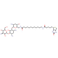 419573-20-9 N-Biotinyl-12-aminododecanoyltobramycin Amide chemical structure