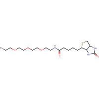 1041766-91-9 1-Biotinylamino-3,6,9-trioxaundecane-11-bromide chemical structure