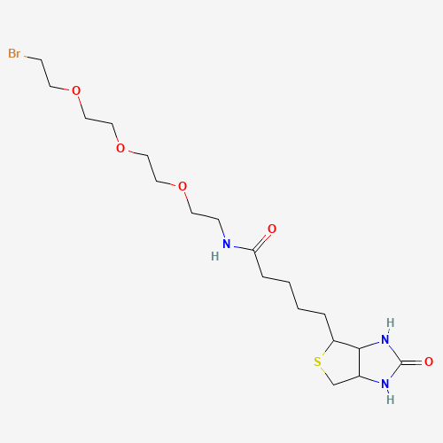 1041766-91-9 1-Biotinylamino-3,6,9-trioxaundecane-11-bromide chemical structure