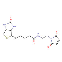 139554-72-6 N-Biotinyl-N'-maleimido-ethylenediamine chemical structure