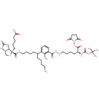 102910-27-0 N2-t-Boc-N6-(biotinamido-6-N-caproylamido)lysine N-Hydroxysuccinimide Ester chemical structure