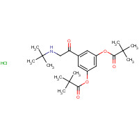 406919-51-5 2-tert-Butylamino-3',5'-dipivaloxyacetophenone,Hydrochloride Salt chemical structure