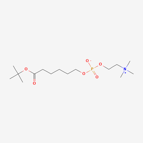 73839-23-3 tert-Butyl 6-(O-Phosphorylcholine)hydroxyhexanoate chemical structure