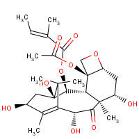 171926-87-7 2-Debenzoyl-2-tigloyl 10-Deacetyl Baccatin III chemical structure