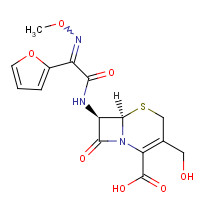 56271-94-4 Descarbamoyl Cefuroxime chemical structure