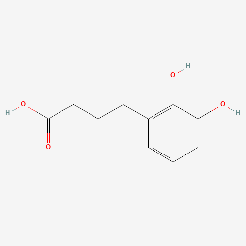 79638-23-6 4-(2,3-Dihydroxyphenyl)butyric Acid chemical structure