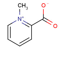 445-30-7 Homarine chemical structure