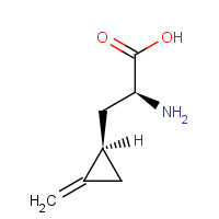 156-56-9 S-Hypoglycine A, 85% chemical structure