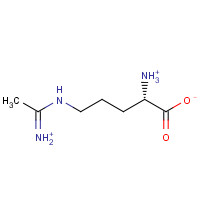 150403-88-6 N5-(1-Iminoethyl) L-Ornithine Hydrochloride chemical structure