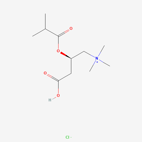 6920-31-6 Isobutyryl L-Carnitine Chloride chemical structure