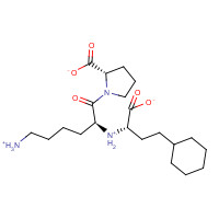 1132650-67-9 Lisinopril Cyclohexyl Analogue chemical structure