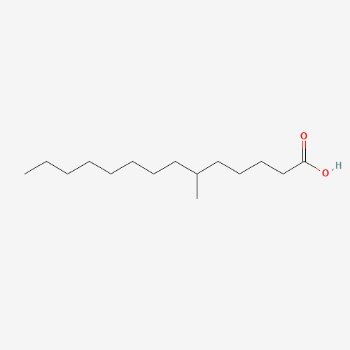 53696-18-7 6-Methyltetradecanoic Acid chemical structure