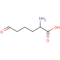 1962-83-0 6-Oxo DL-Norleucine chemical structure