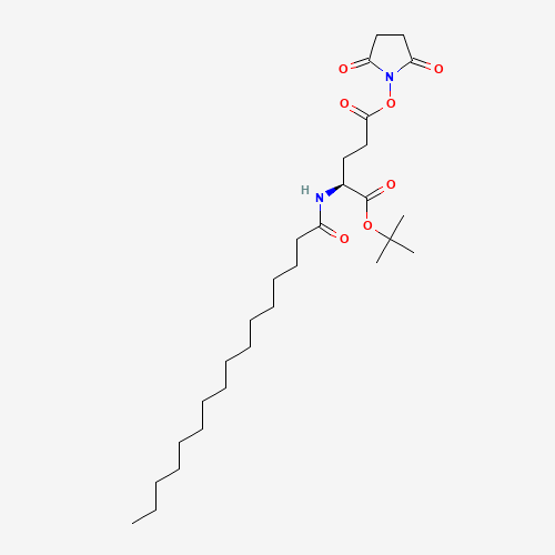 204521-63-1 Nε-Palmitoyl-L-glutamic Acid γ-Succinimidyl-a-tert-butyl Ester chemical structure