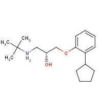 57130-27-5 (R)-Penbutolol Hydrochloride chemical structure