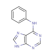 1210-66-8 Phenyl(9H-purin-6-yl)amine chemical structure