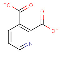 138946-42-6 2,3-Pyridinedicarboxylic Acid-d3 chemical structure