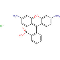 13558-31-1 Rhodamine 110 chemical structure