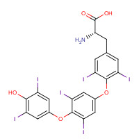 911661-90-0 Thyroxine-4-hydroxy-3,5-diiodophenyl Ether chemical structure