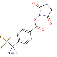 87736-89-8 4-[3-(Trifluoromethyl)diazirin-3-yl]benzoic Acid N-Hydroxysuccinimide Ester chemical structure