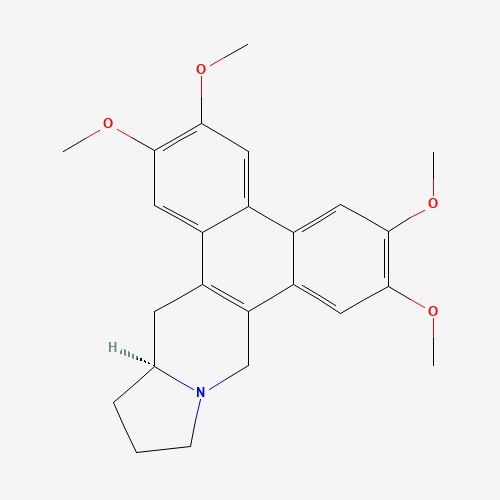 482-20-2 (+)-(S)-Tylophorine chemical structure