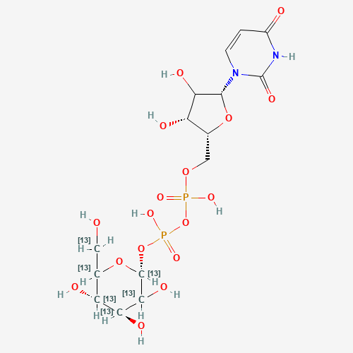 904293-00-1 Uridine 5'-Diphospho-a-D-glucose-13C6 Diammonium Salt chemical structure